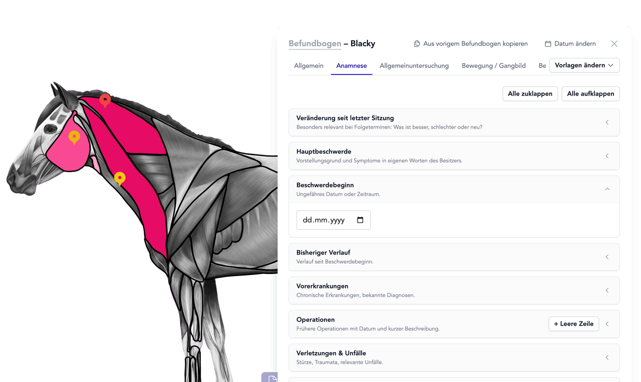 Praxis-Software für Tiertherapeuten, Tierheilpraktiker & mobile Therapeuten