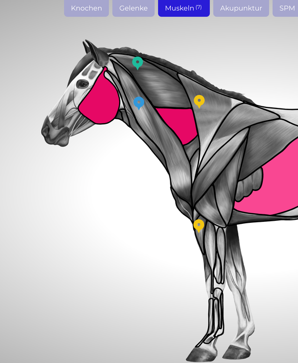 Individuelle Marker setzen