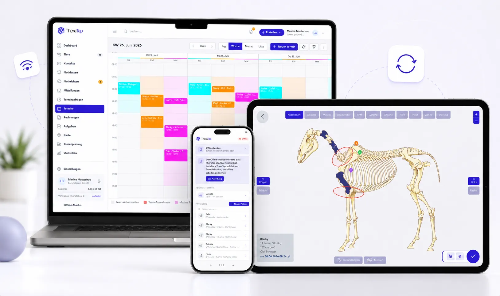 TheraTap Praxis-Software auf Laptop, Tablet und Smartphone